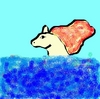 Akillana: plavajici ponyta